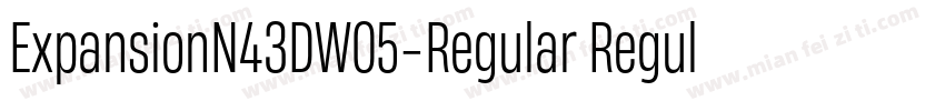 ExpansionN43DW05-Regular Regula字体转换